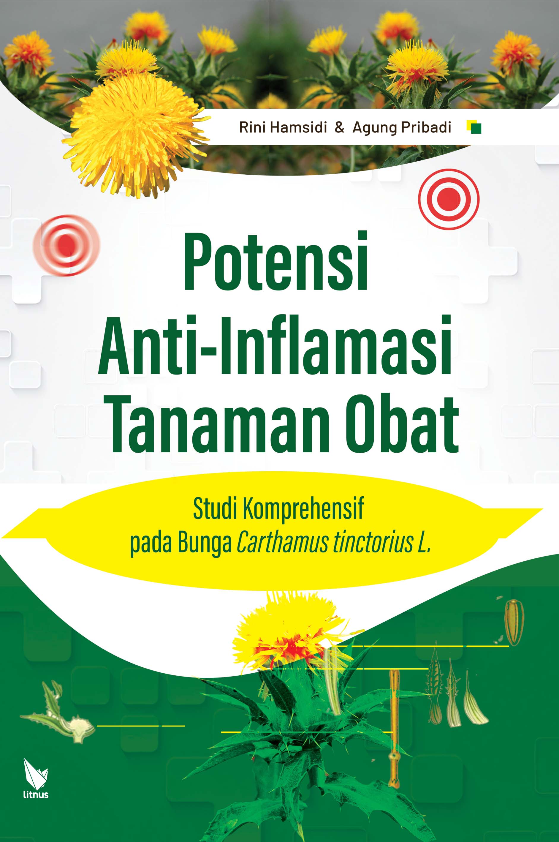 POTENSI ANTI-INFLAMASI TANAMAN OBAT: Studi Komprehensif pada Bunga Carthamus Tinctorius L.