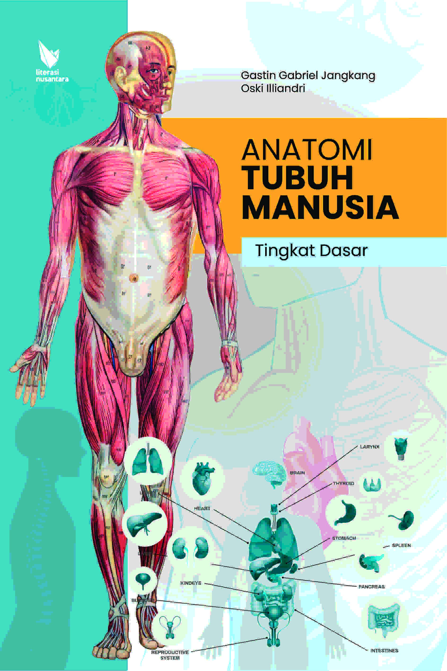 Anatomi Tubuh Manusia Tingkat Dasar