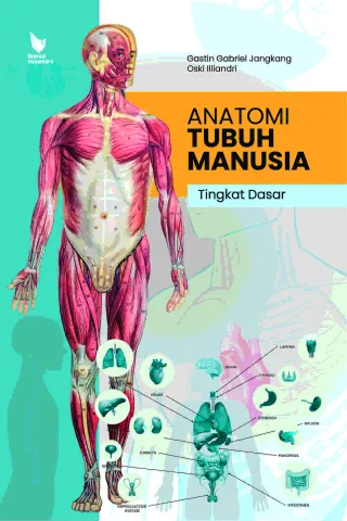 Anatomi Tubuh Manusia Tingkat Dasar